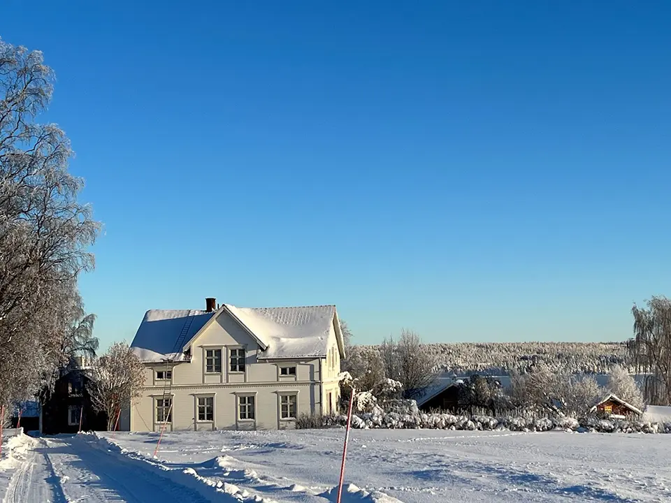 Nature In The Middle - Lyckans gård i snö